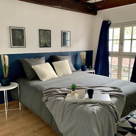 Appartement Les Bleuets - Centre Ville De Saumur Esterno foto