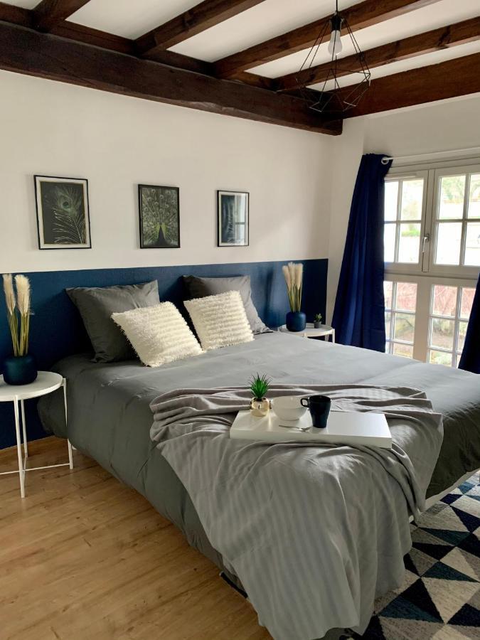 Appartement Les Bleuets - Centre Ville De Saumur Esterno foto