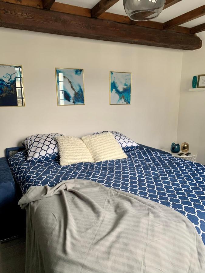 Appartement Les Bleuets - Centre Ville De Saumur Esterno foto